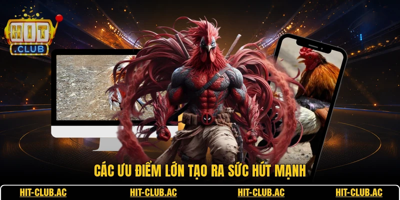 Đá Gà Bồ 67 - Chi Tiết Từng Trận Đấu Đỉnh Cao Nhất 3 Các ưu điểm lớn tạo ra sức hút mạnh