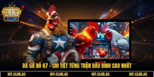 Đá Gà Bồ 67 - Chi Tiết Từng Trận Đấu Đỉnh Cao Nhất