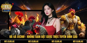 Đá Gà SV388 - Không Gian Đặt Cược Trực Tuyến Đỉnh Cao