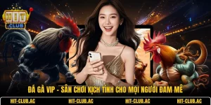 Đá Gà VIP - Sân Chơi Kịch Tính Cho Mọi Người Đam Mê