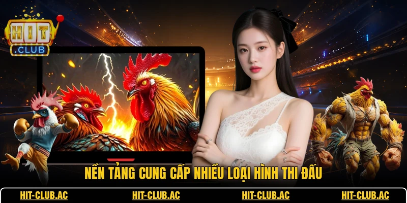 Đá Gà SV388 - Không Gian Đặt Cược Trực Tuyến Đỉnh Cao 2 Nền tảng cung cấp nhiều loại hình thi đấu
