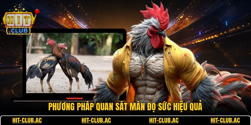 Phương pháp quan sát màn đọ sức hiệu quả