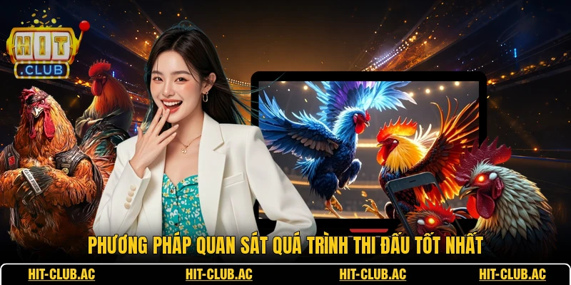 Đá Gà VIP - Sân Chơi Kịch Tính Cho Mọi Người Đam Mê 3 Phương pháp quan sát quá trình thi đấu tốt nhất