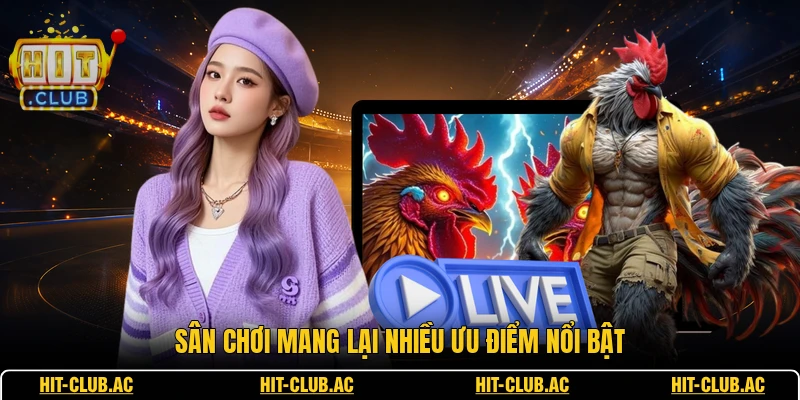 Đá Gà SV388 - Không Gian Đặt Cược Trực Tuyến Đỉnh Cao 3 Sân chơi mang lại nhiều ưu điểm nổi bật