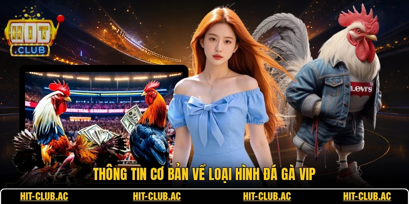 Đá Gà VIP - Sân Chơi Kịch Tính Cho Mọi Người Đam Mê 1 Thông tin cơ bản về loại hình đá gà VIP