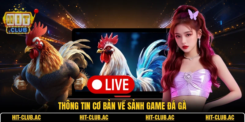 Thông tin cơ bản về sảnh game đá gà