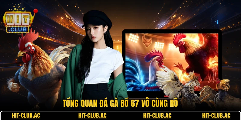Đá Gà Bồ 67 - Chi Tiết Từng Trận Đấu Đỉnh Cao Nhất 1 Tổng quan đá gà bồ 67 vô cùng rõ